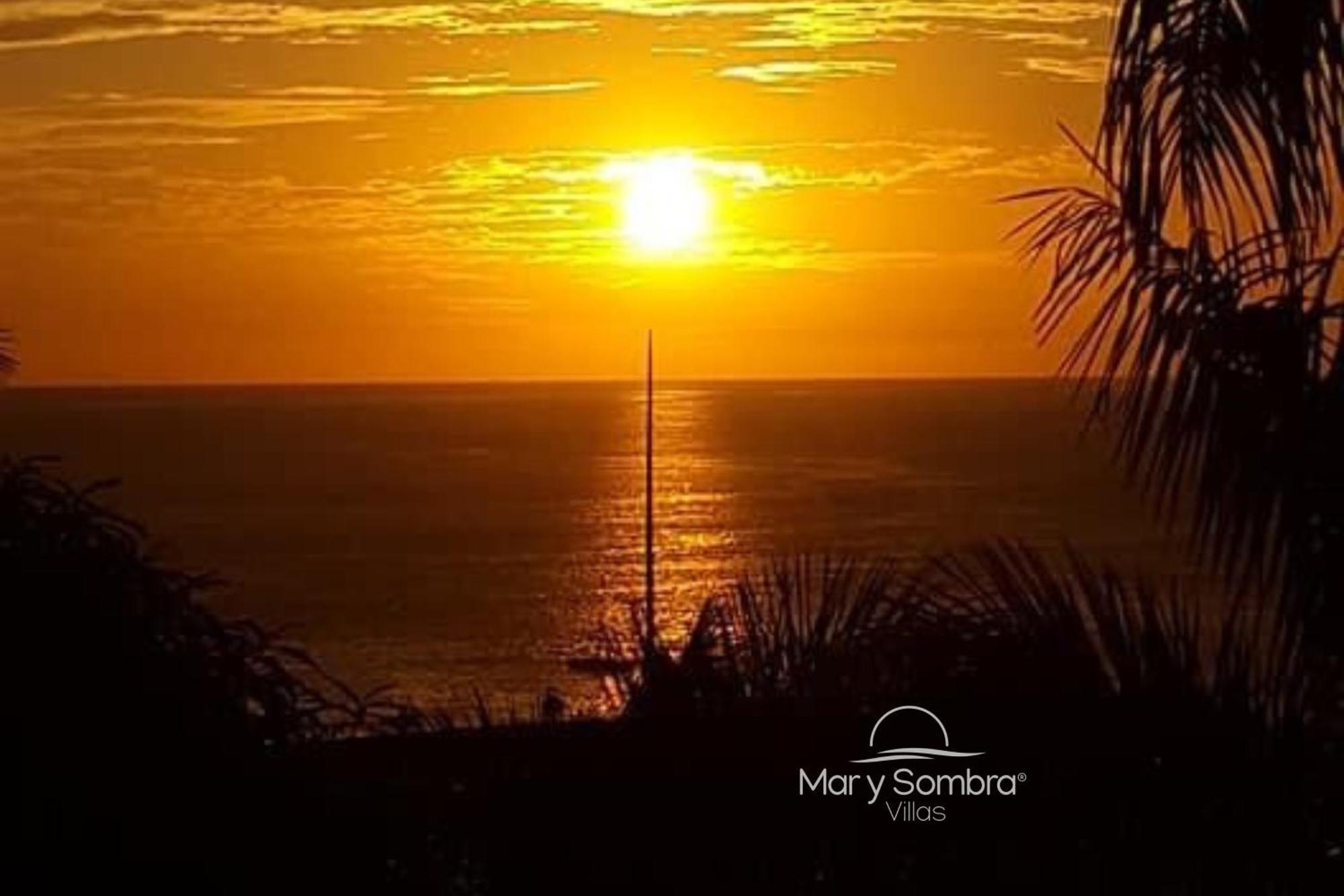 Mar Y Sombra Villas Quepos Eksteriør bilde
