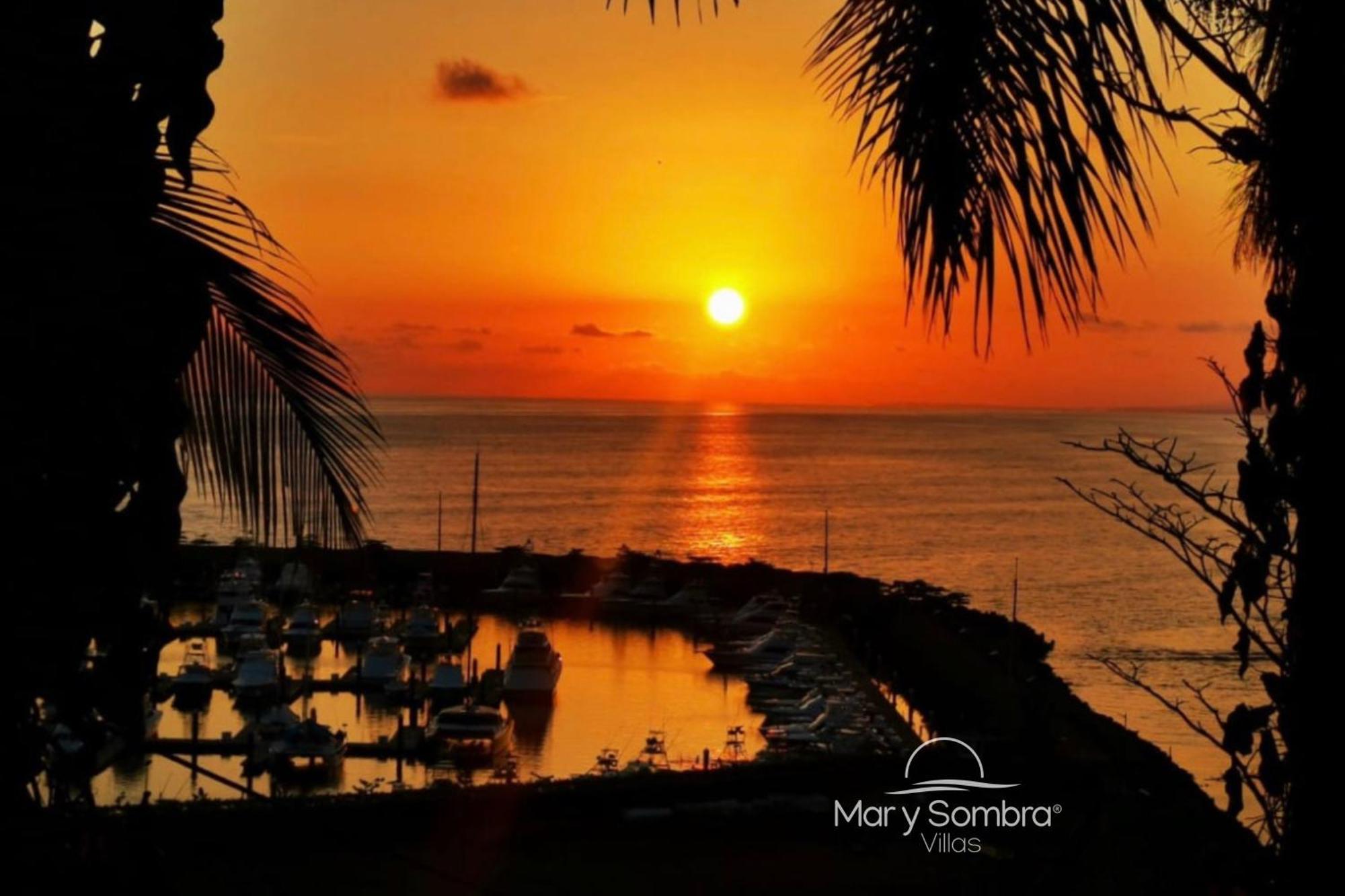 Mar Y Sombra Villas Quepos Eksteriør bilde