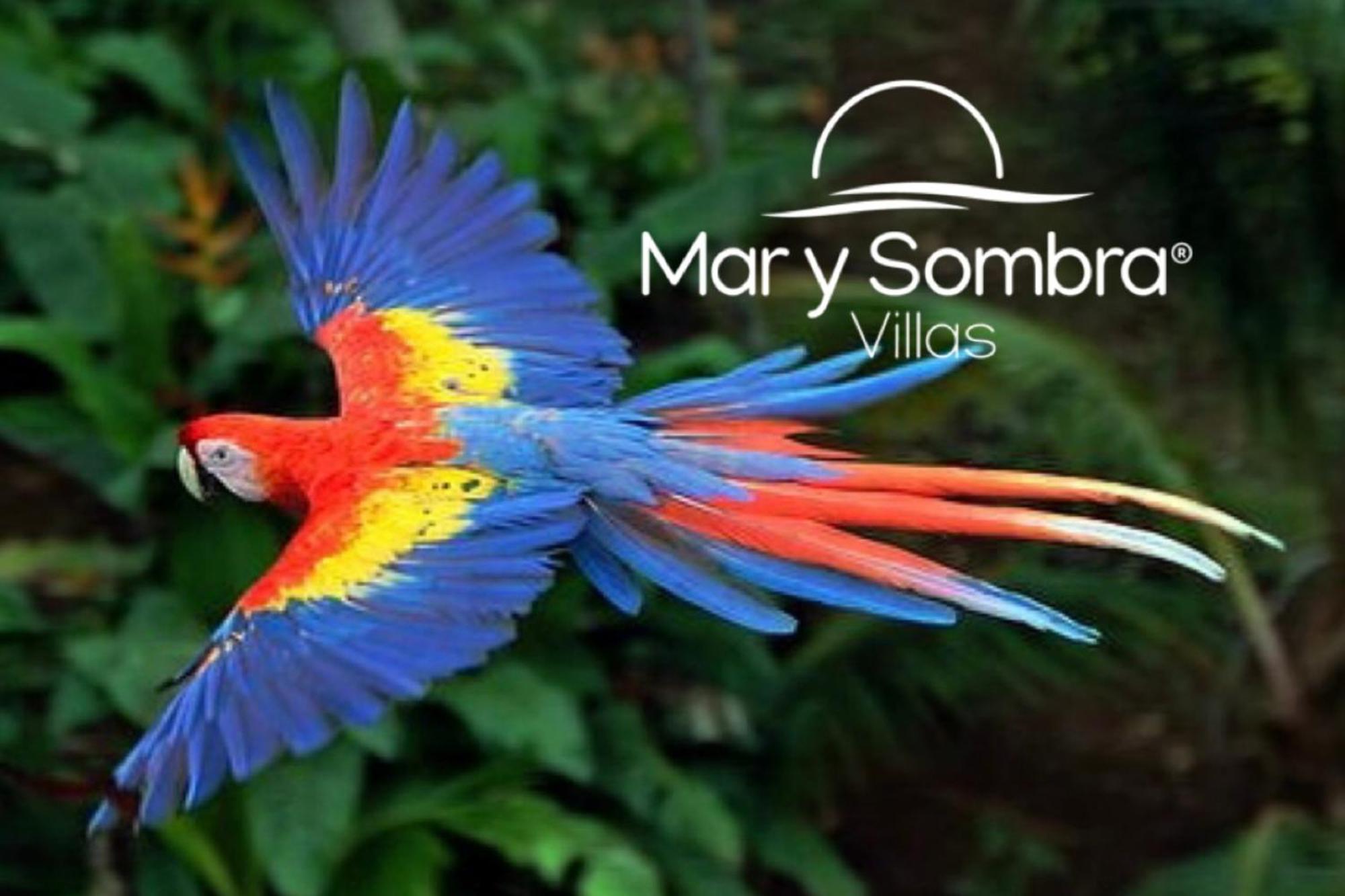 Mar Y Sombra Villas Quepos Eksteriør bilde